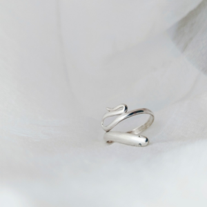 Anillo Nagini