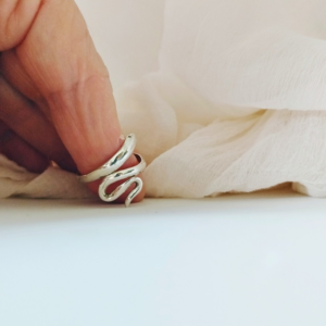 Anillo Aspid